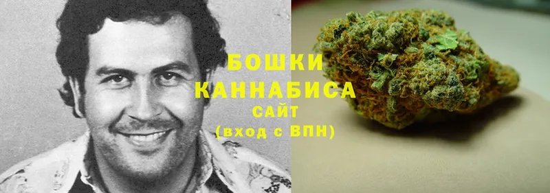 цены наркотик  kraken маркетплейс  Конопля Bruce Banner  Ступино 